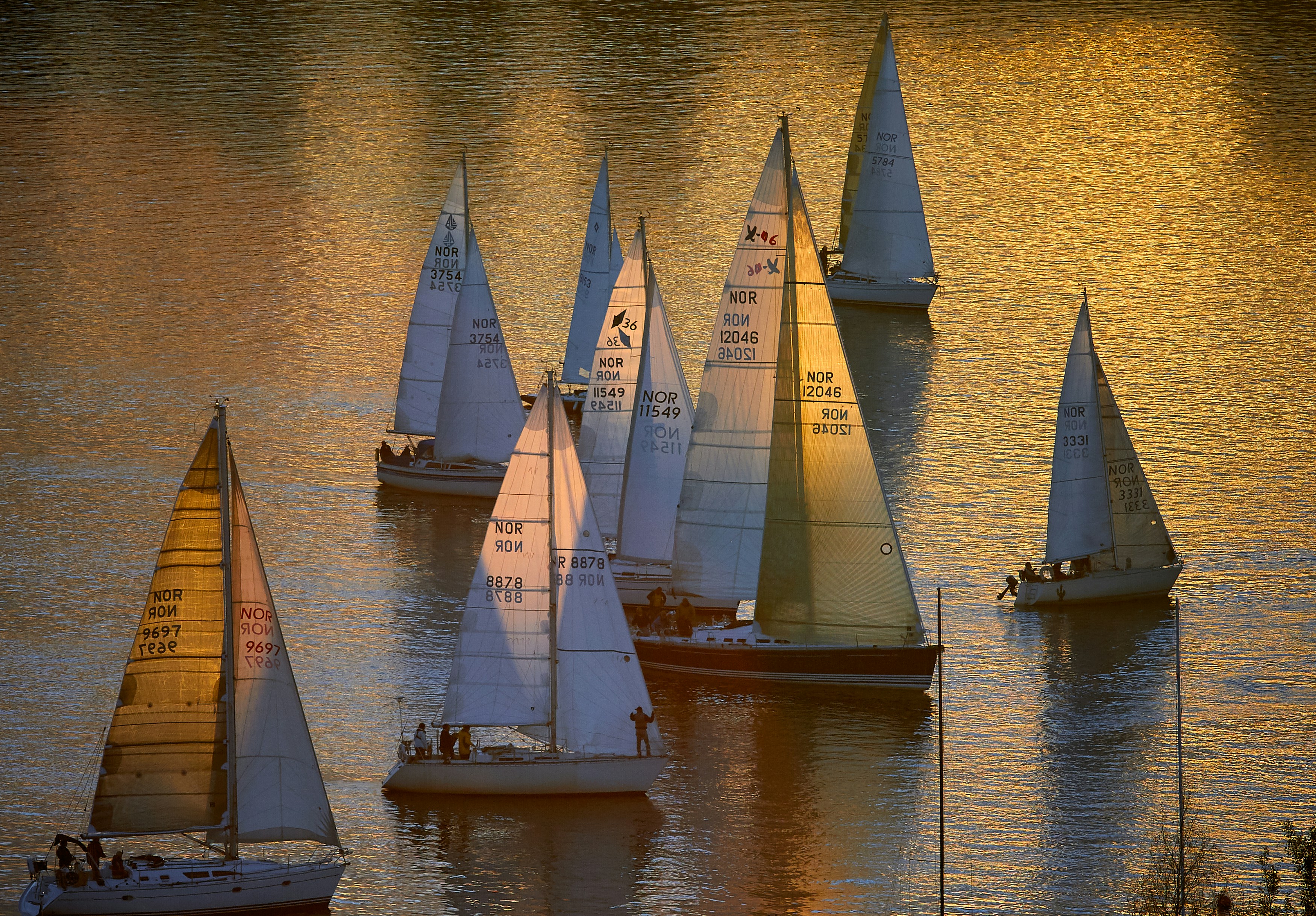 Team building en velero Barcelona - evento de empresa
